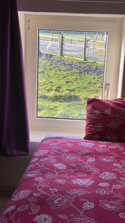 Bed and Breakfast The Horse Farm Garnwerd Exterior foto