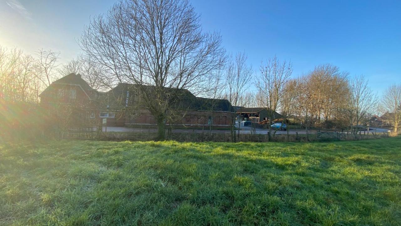 Bed and Breakfast The Horse Farm Garnwerd Exterior foto