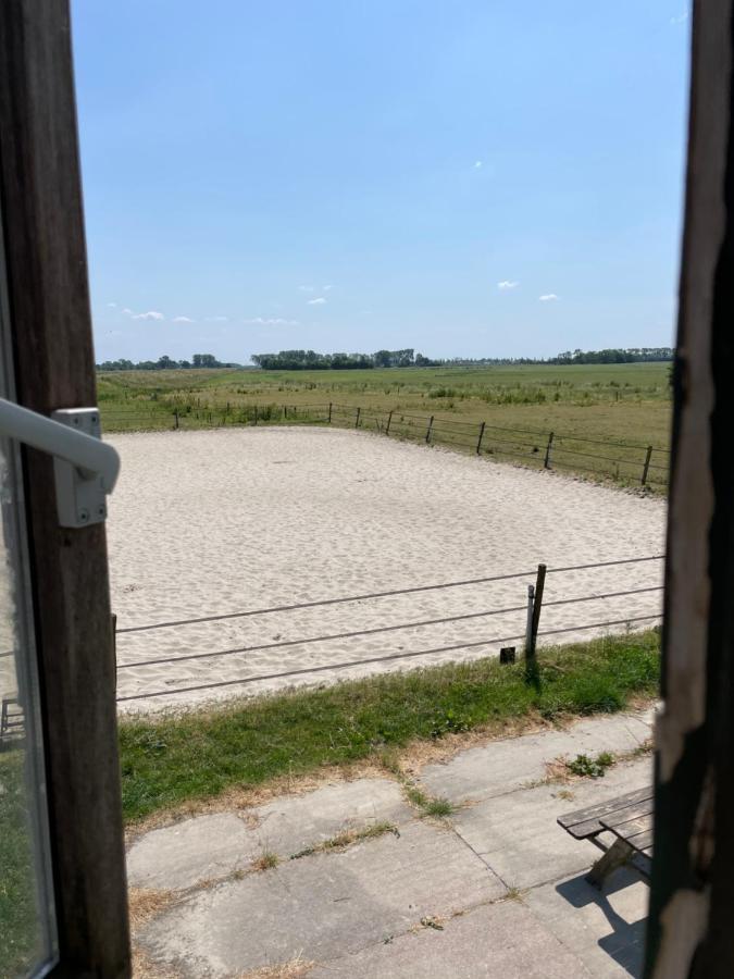 Bed and Breakfast The Horse Farm Garnwerd Exterior foto